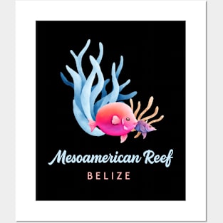 Mesoamerican Reef Belize Caribbean Coral Reef Fish Posters and Art